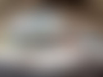 Descent into the Land of the Wild Bunch