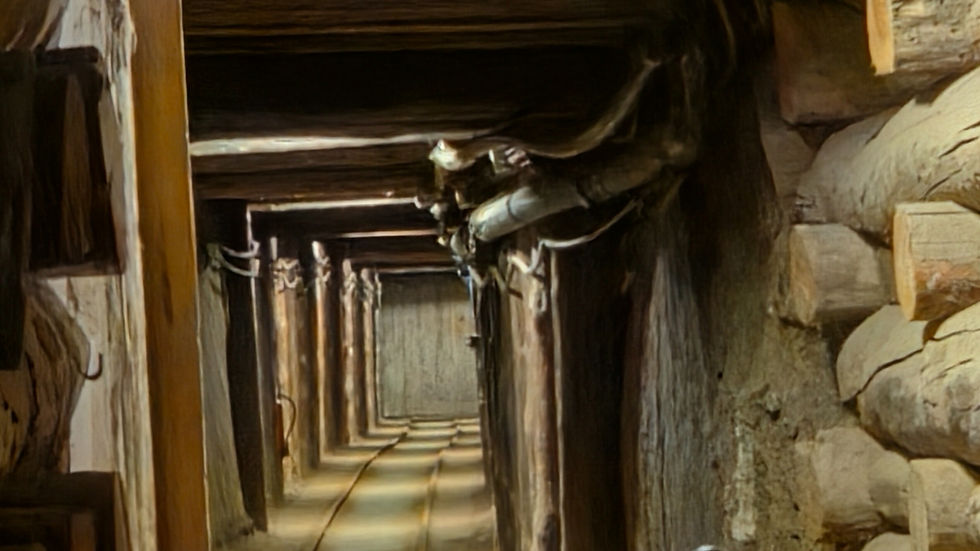 A view down one of the prohibited mine shafts, a concrete seal appears to mark it's end