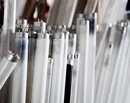 fluorescent+bulbs.webp