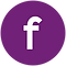 Social icon Facebook