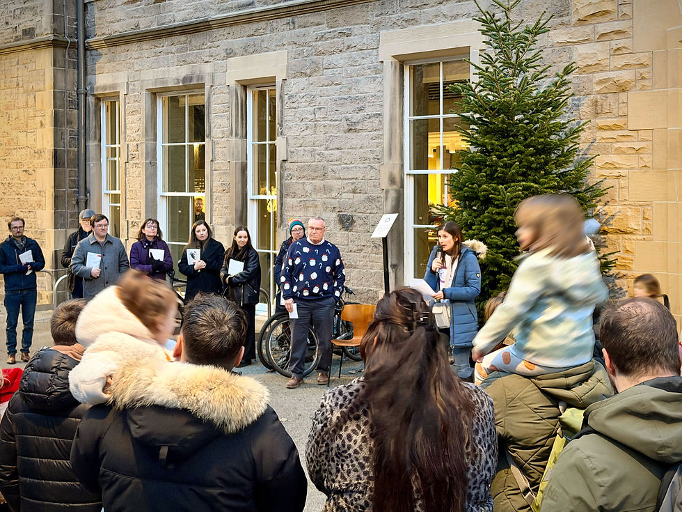 SSCB Tree of Light at Canopy