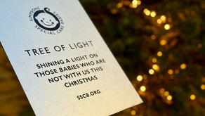 SSCB Tree of Light