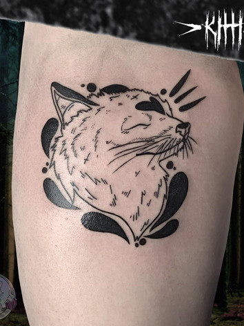 tatus.jpeg