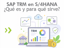 SAP TRM en S/4HANA: qué es y para qué sirve