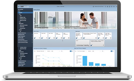 SAP Business ByDesign Display.png
