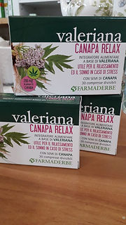 canapa.jpeg