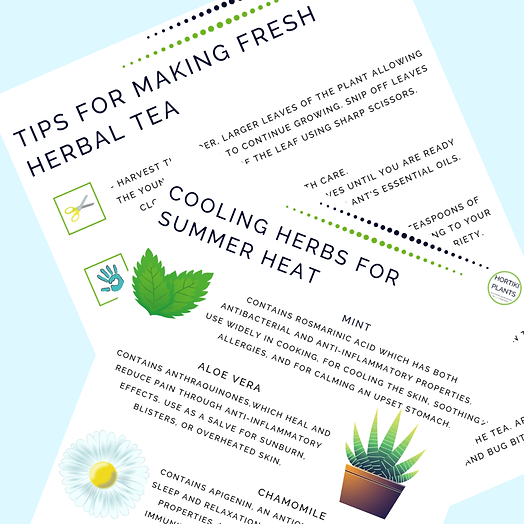 3 keep cool garden tips for(4)(1).png