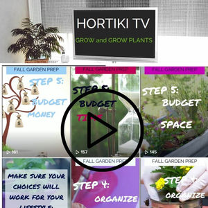 Hortiki TV videos available