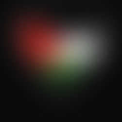 Love Letter for Palestine