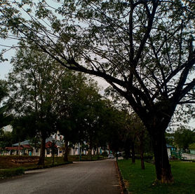 How Beautiful is Beauty