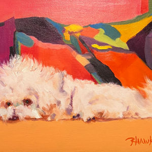 Bichon Frise