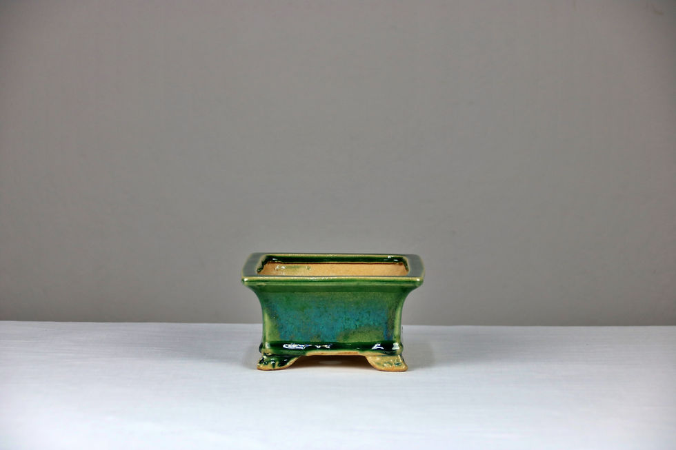 Μικρογραφία: POT119 (18x15x8)