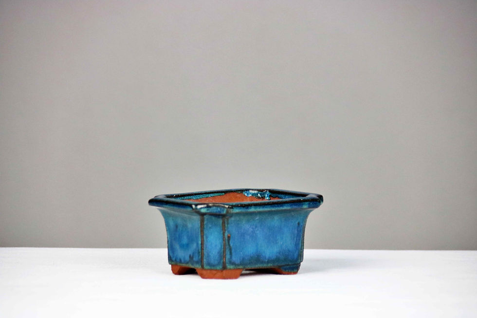 Μικρογραφία: POT130 (11x8x5)