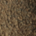 AENAON BONSAI - KIRYU 14 LT