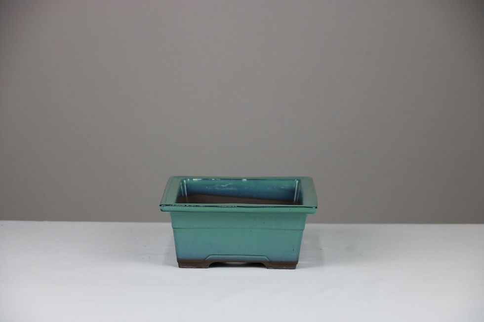 Μικρογραφία: POT210 (22x16.5x7,5)