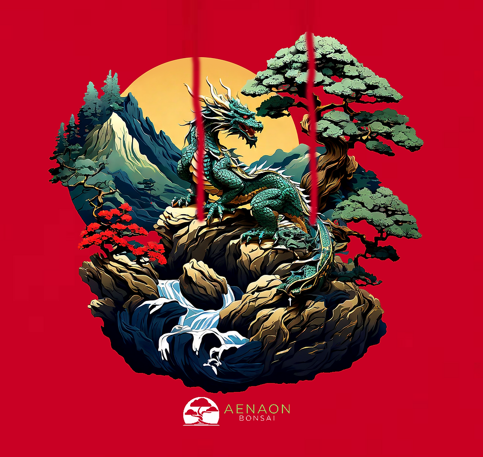 Μικρογραφία: AENAON BONSAI - HOODIES