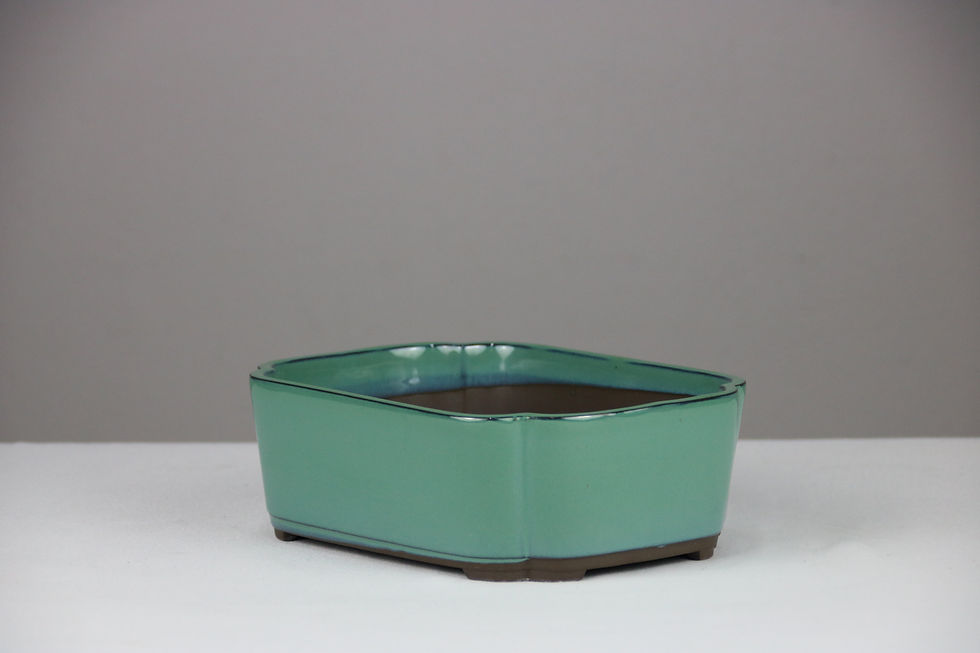 Μικρογραφία: POT206 (21,5x16x7)