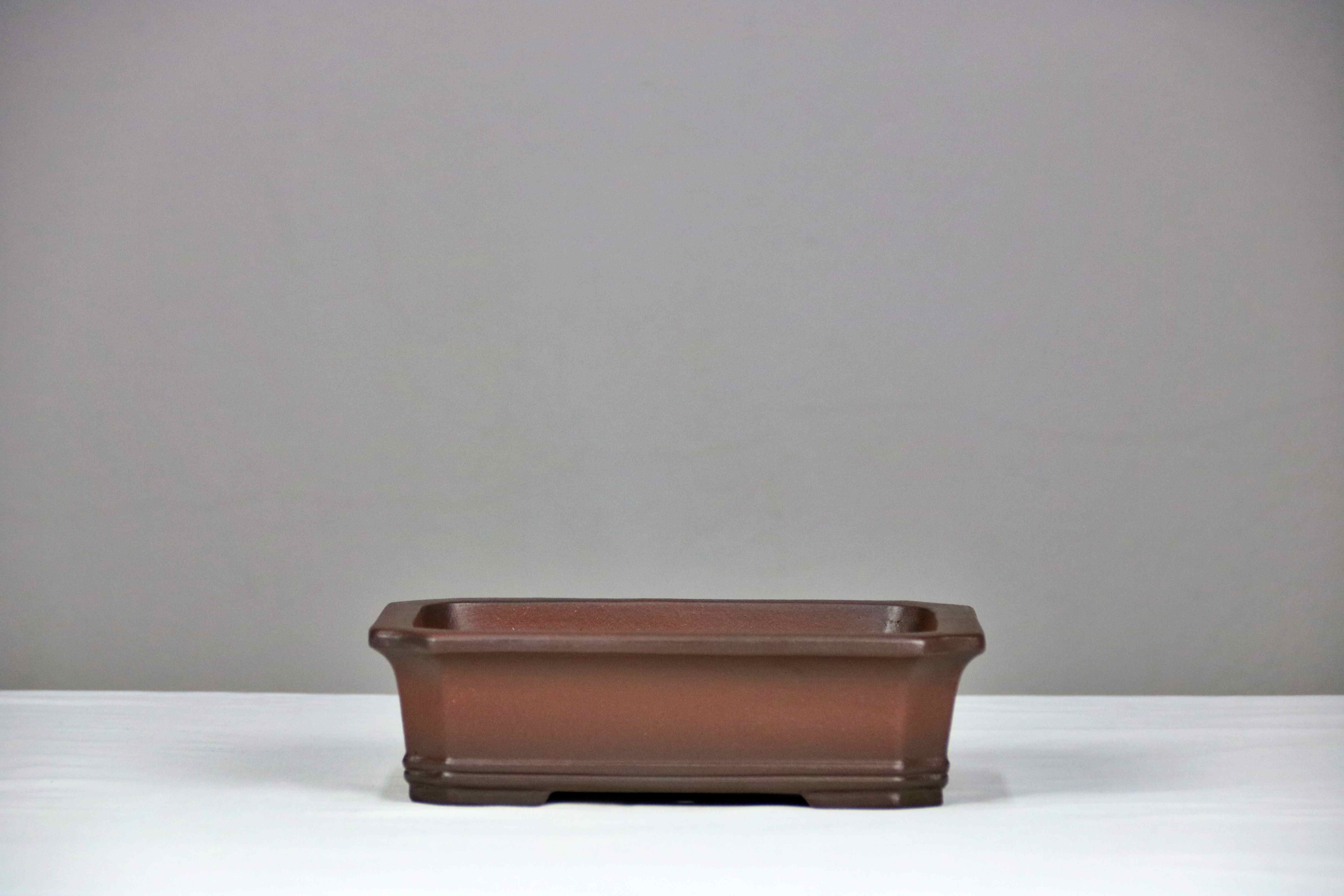 AENAON BONSAI - POT235