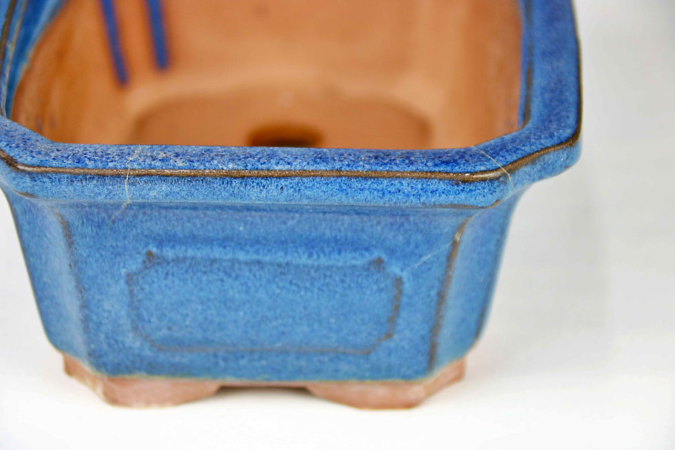 Μικρογραφία: AENAON BONSAI - POTS