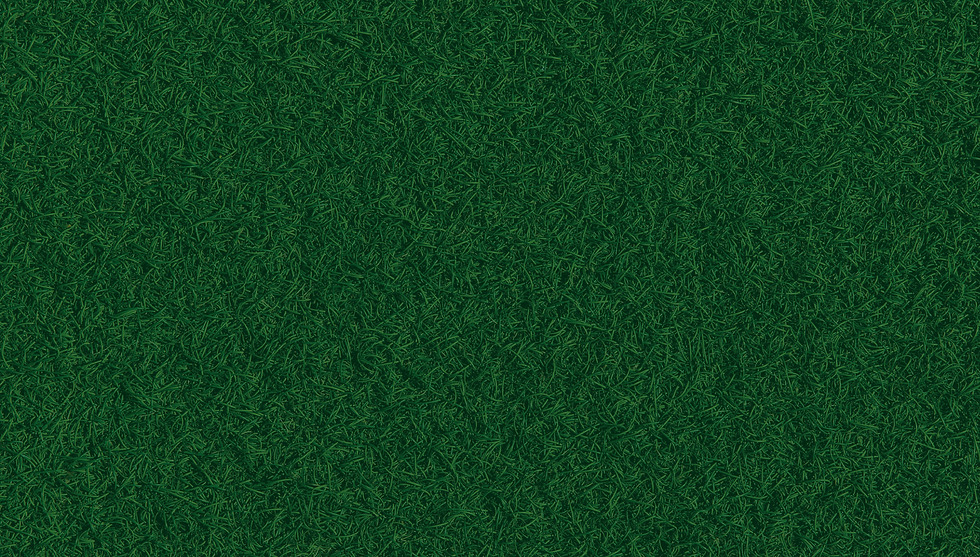 HDI_grass_background-04.png