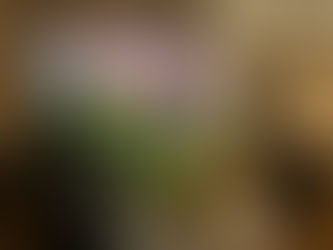 サロンの窓から