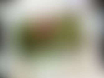 神秘のハーブヘナ