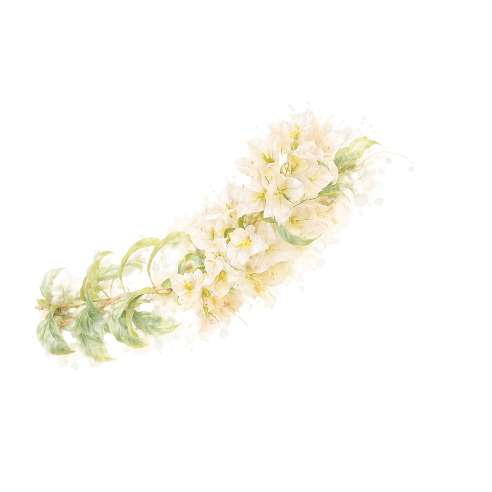 Design sem nome (16).png