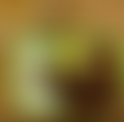 Crunchyroll #121: Shirogane’s Bento from Kaguya-Sama: Love is War!