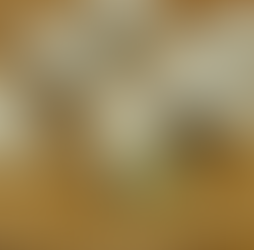 Leek Onigiri from Fruits Basket