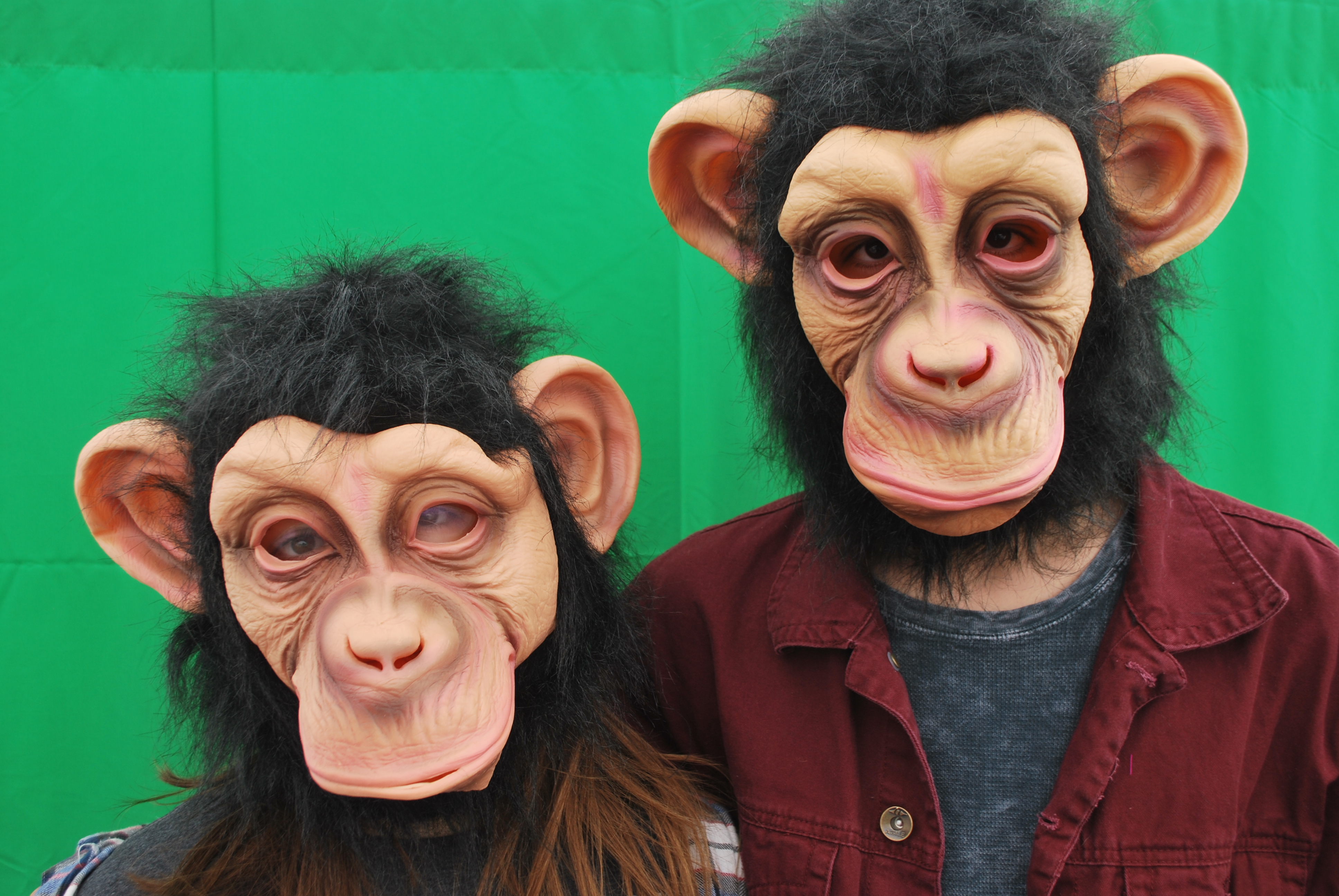 Monkeys