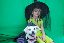 Mt. Laurel Animal Hospital