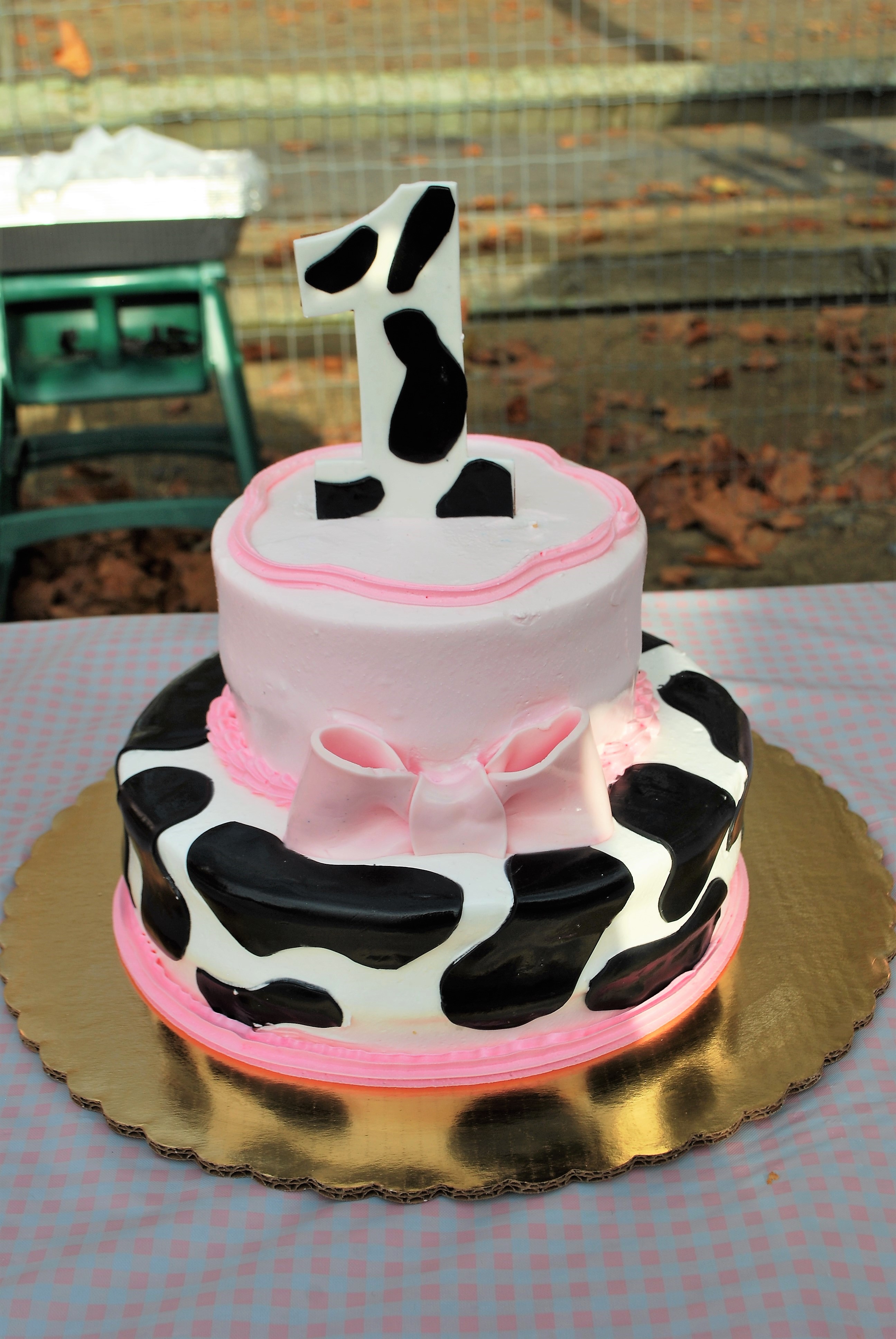 Happy 1st Birthday!
