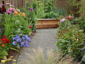 Where do the Blooms go?