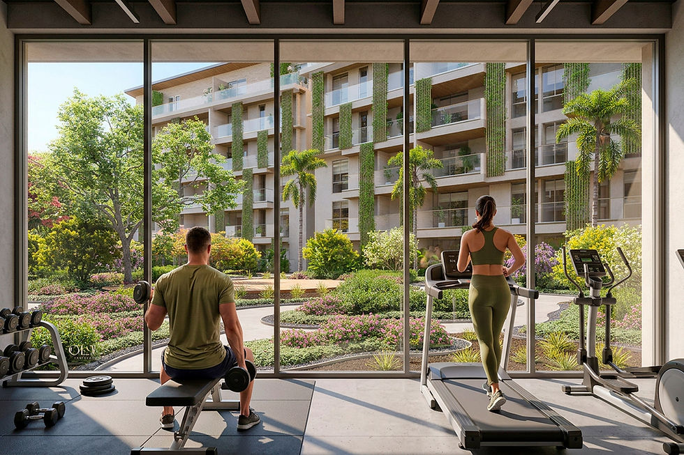 gimnasio 1.jpg
