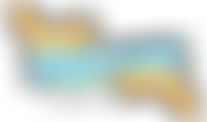 Tampa RiverfestPresented by Publix Super Markets