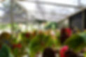DSCF4991_edited.jpg