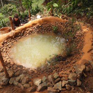 Jardín acuático. Estanque de reproducción para plantas, Cali, Valle del Cauca