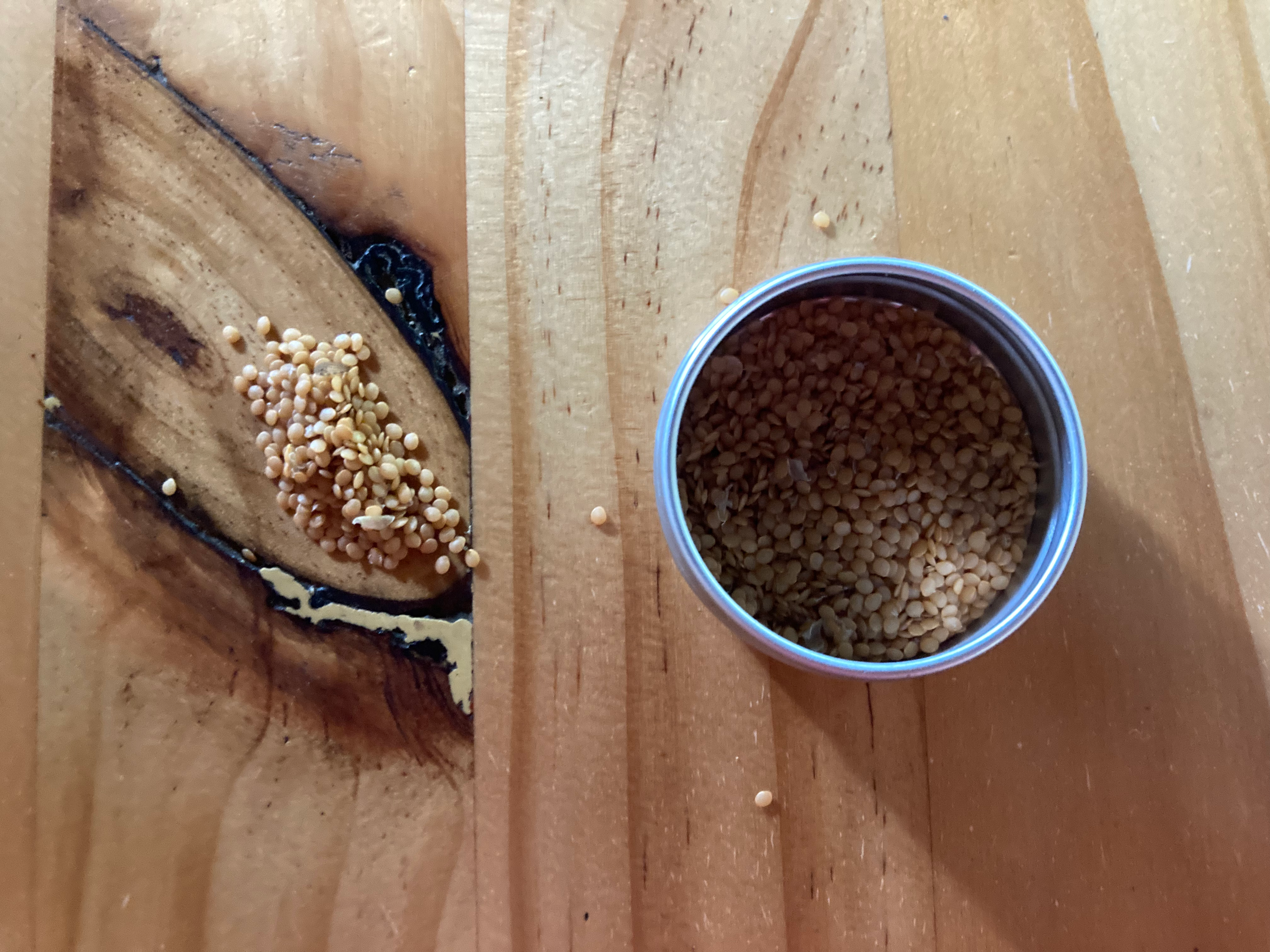 Uchuva / Physalis peruviana