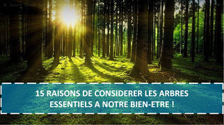 15 RAISONS DE CONSIDERER LES ARBRES ESSENTIELS A NOTRE BIEN-ETRE !