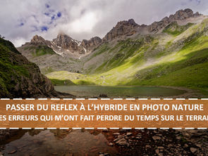 BASCULER DU REFLEX À L’HYBRIDE EN PHOTO NATURE : LES ERREURS QUI M’ONT FAIT PERDRE DU TEMPS SUR LE TERRAIN