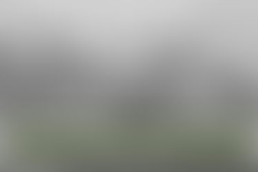 GRUE CENDREE : 15 CONSEILS POUR L’OBSERVER FACILEMENT ET MIEUX LA PHOTOGRAPHIER !