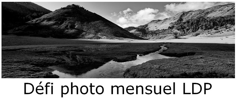 Défi photo mensuel LDP.jpg