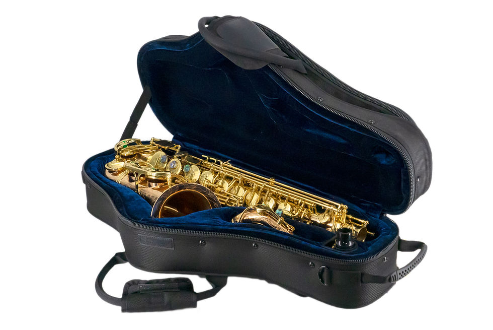 Miniatura: SAXO ALTO HARMS HAS800