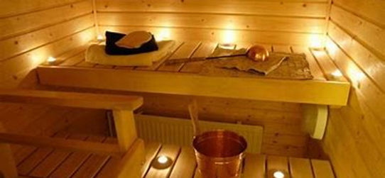 OIP dry sauna.jpeg