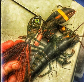 Lobsta.jpeg