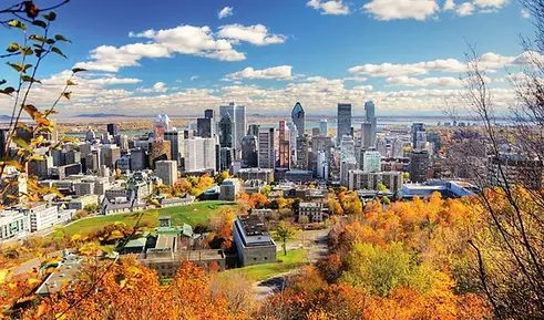 iStock-515441828.webp