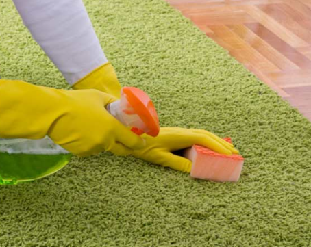 The Benefits of Eco-Friendly Carpet Cleaning Solutions