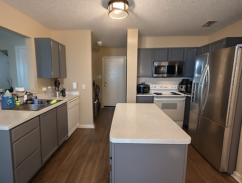 Cabinet Painting.png