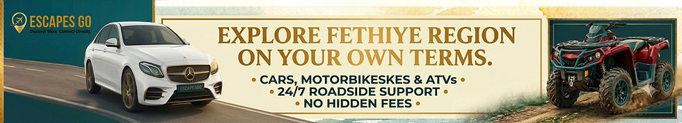 cars banner