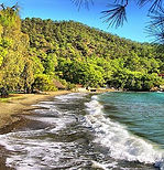 yaniklar w.jpg